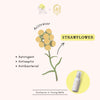 SHENG LAND - BRIGHTENING MOISTURIZING SPRAY