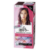 Liese Creamy B.Col Coolpink x24