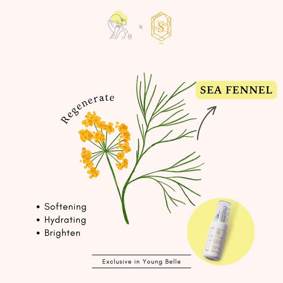 SHENG LAND - BRIGHTENING MOISTURIZING SPRAY