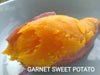 鳥家*A品*有機紅薯 Organic Sweet Potato Garnet *Grade A*